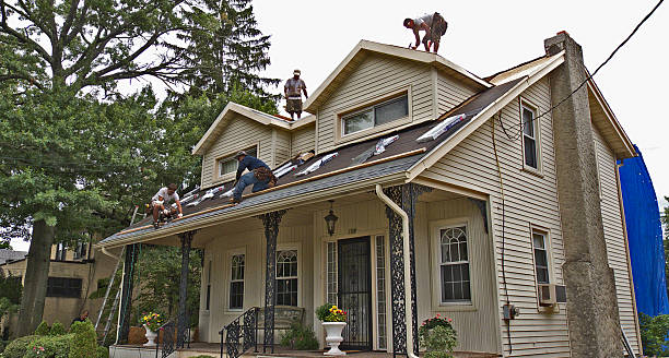 Best Roof Gutter Cleaning  in Burton, OH